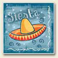 Fiesta Siesta Coaster
